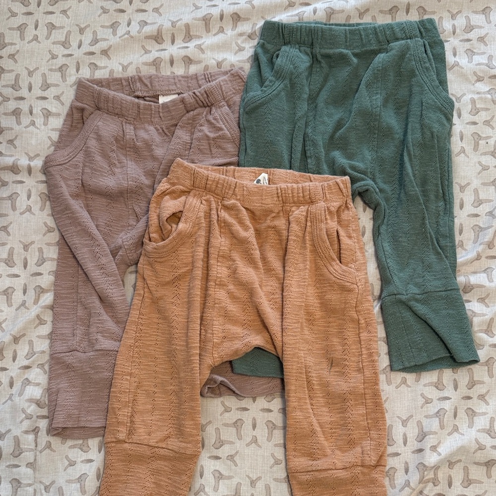 kate quinn Kids Pointelle panda pantTrio - Green, Brown, Tan